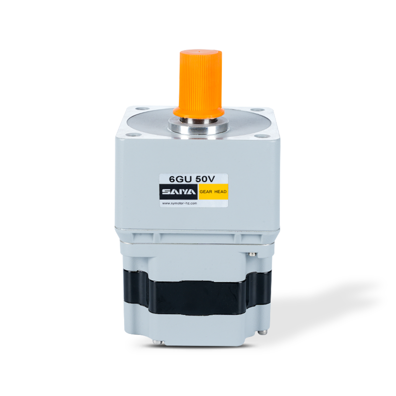 220V-230V ব্রাশলেস গিয়ার মোটর